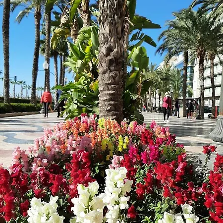 Casa Llorca Big Apt 3 Bedroom Garage Ac Wifi Alicante